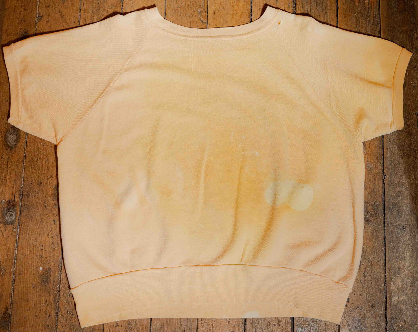Vintage 1960’s College Reject Short Sleeve Sweatshirt