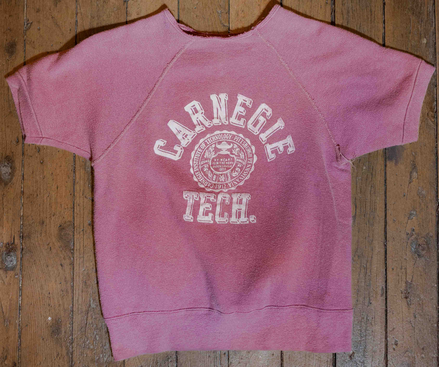 Vintage 1960’s Flocked Carnegie Tech Sweatshirt